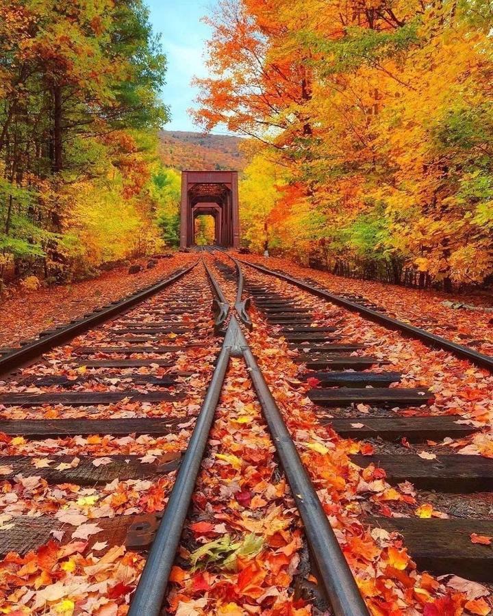 京都有客 ภายนอก รูปภาพ