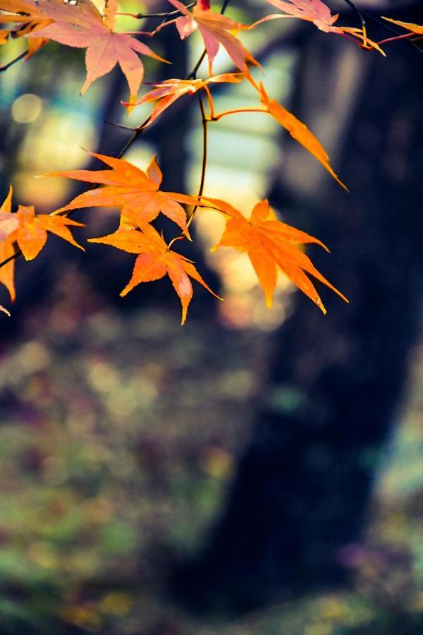 京都有客 ภายนอก รูปภาพ